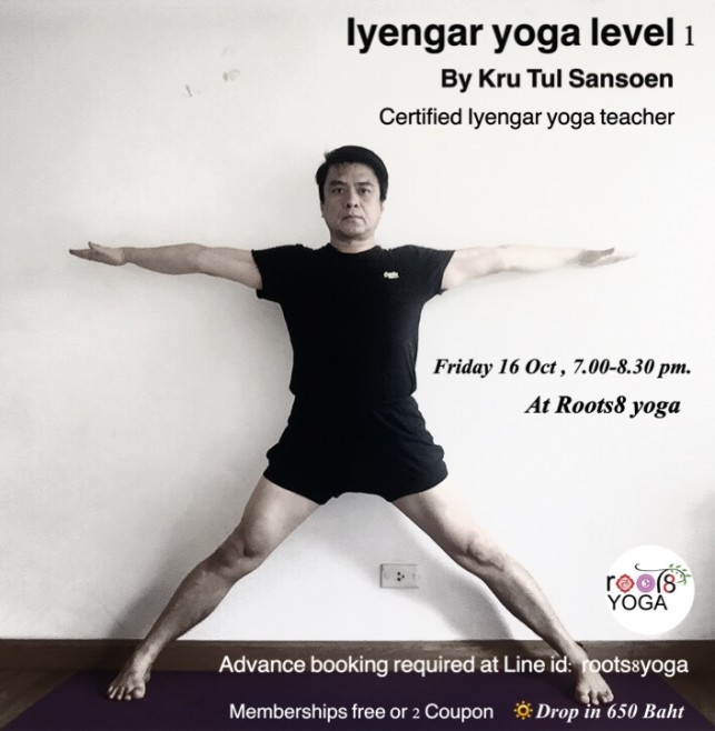 Iyengar yoga level1